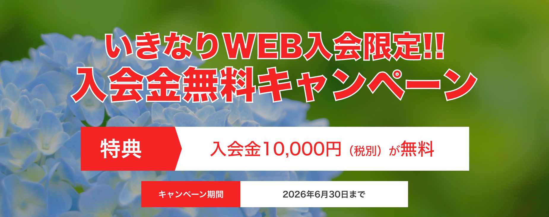いきなり！WEBキャンペーン画像