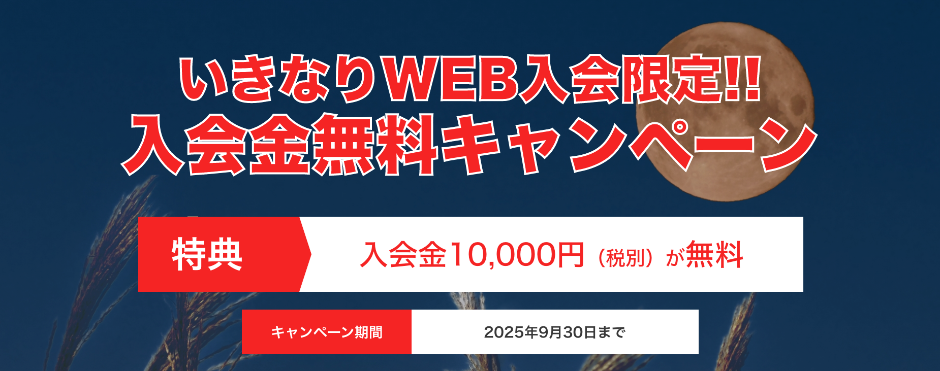 いきなり!WEBキャンペーン画像