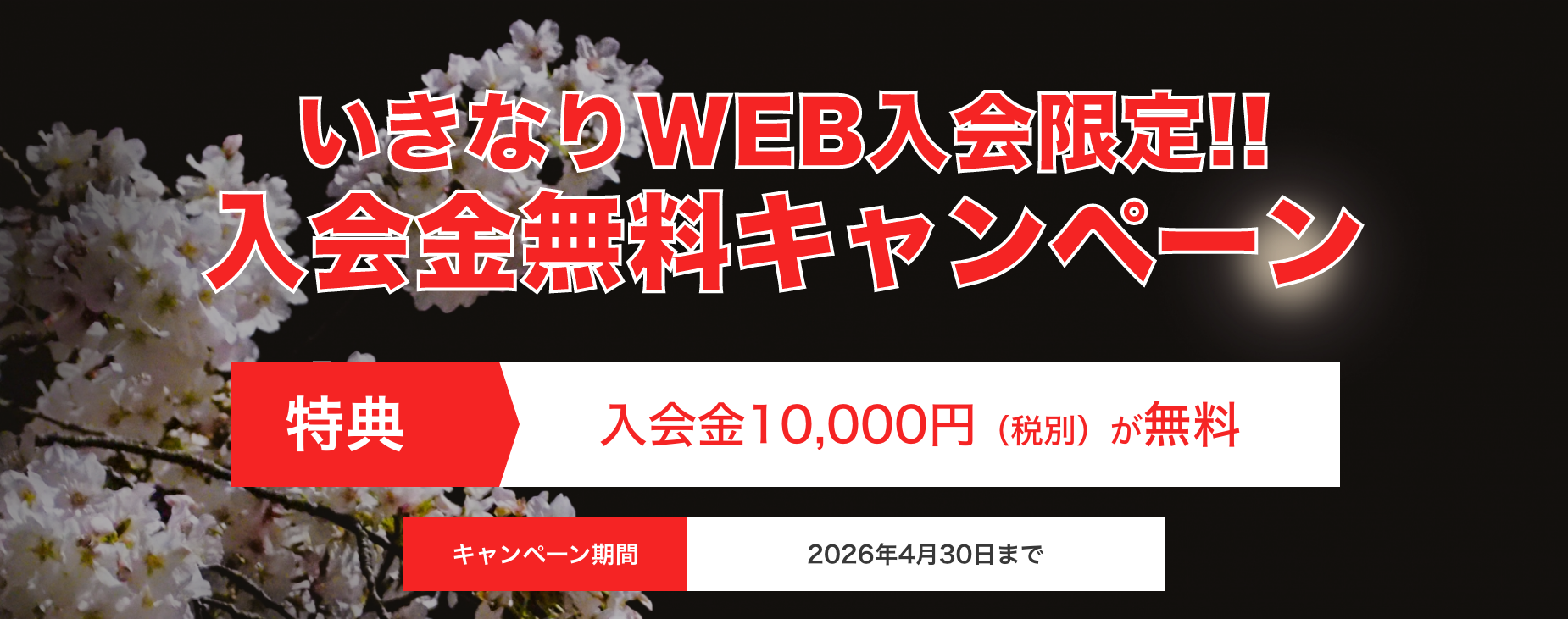 いきなり！WEBキャンペーン画像